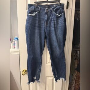 Judy Blue Skinny Blue Jeans Classic Fit